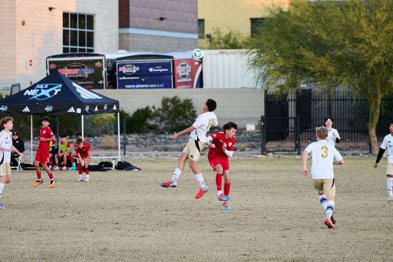 Tournament Photo 102